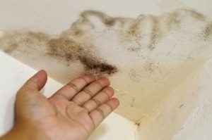 Don't Let A Plumbing/Water Leak Damage Your Home In 2020 - Leak Detection Blog | Orlando, Florida | Leak Doctor - 1(24)