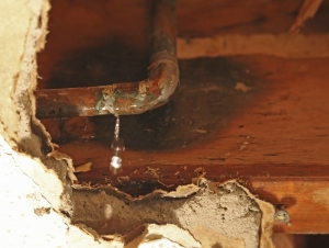 How To Locate A Plumbing Leak &amp; Repair It - Water Leak Detection Blog - Orlando, Florida | Leak Doctor - 2(3)