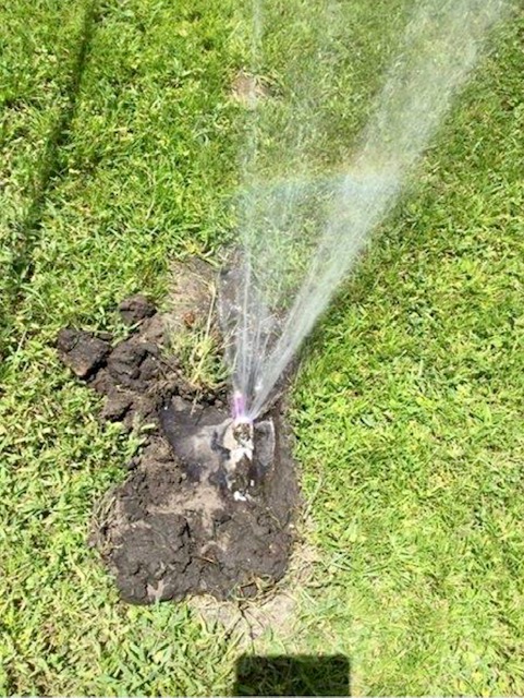 Orlando Plumbing/Water Leak? Don’t Worry, Call the Leak Doctor!