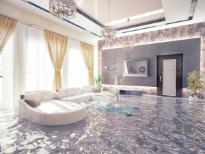 Central Florida Trusted Water & Plumbing Leak Detection