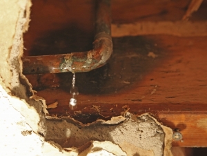 Do You Need a Plumber or Water Leak Specialist?