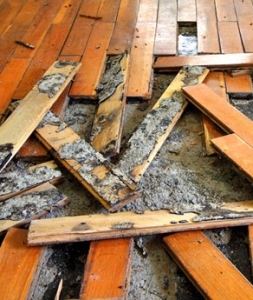 Does Your Orlando Area Home Have Slab Leak?