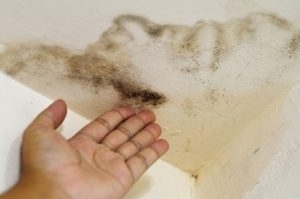 Orlando Hidden Water/Plumbing Leak; Don’t Ignore The Signs
